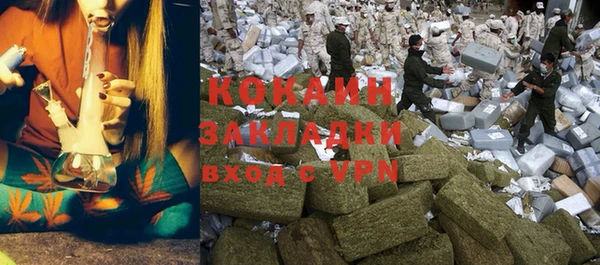 стафф Алзамай