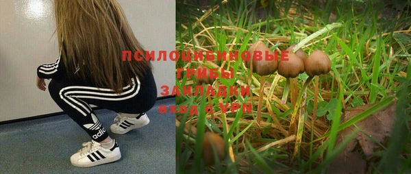 мяу мяу мука Алексин