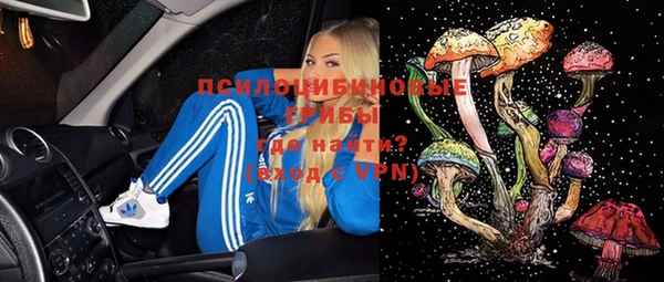 мяу мяу мука Алексин