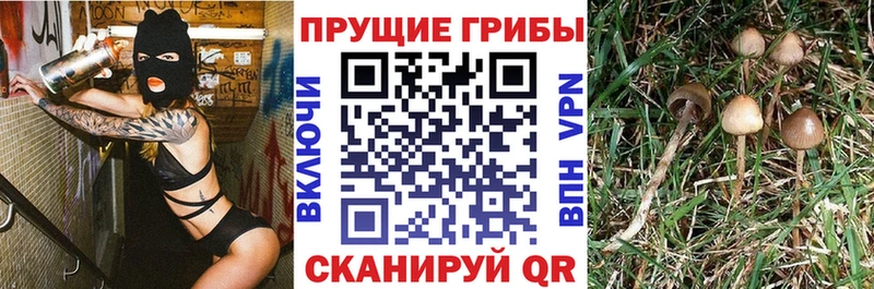Галлюциногенные грибы MAGIC MUSHROOMS  Ревда 