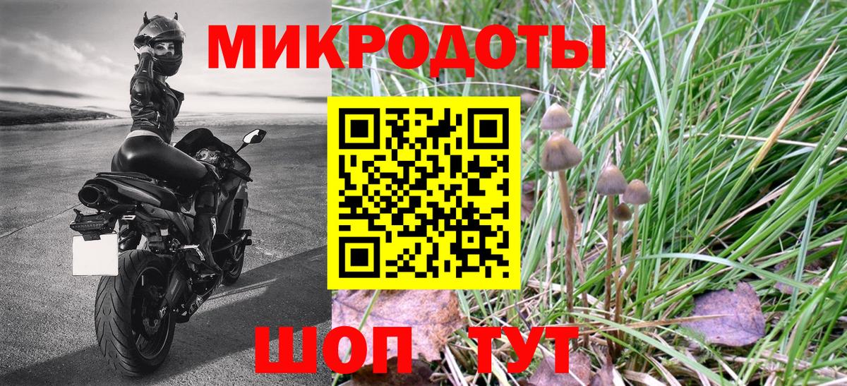 Ревда  Галлюциногенные грибы MAGIC MUSHROOMS  Вход с VPN  Псилоцибиновые грибы GOLDEN TEACHER 